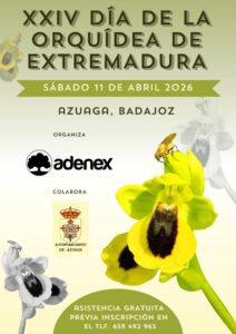 10/4 Adenex celebra en Azuaga el XXIV Día de la Orquídea de Extremadura con la colaboración del Ayuntamiento