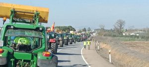 06/02  Se espera que alrededor de 600 tractores lleguen hoy a Zafra para protestar por la situación de la agricultura.